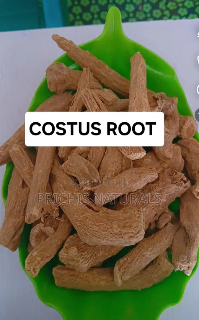Costus Root 100g– Costus Root for Digestive Health, Immune Support