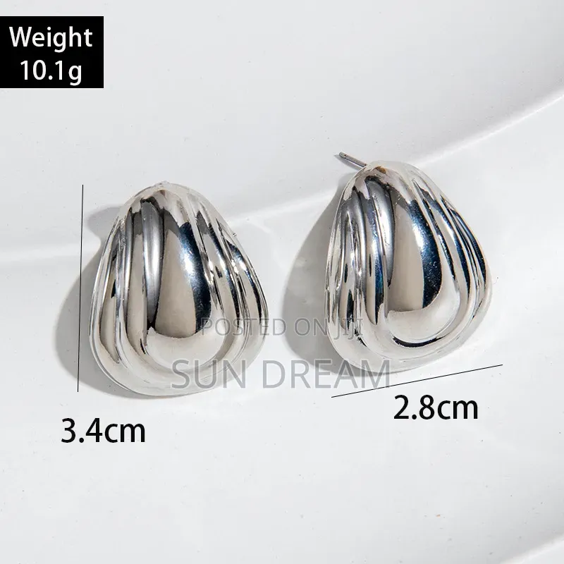 Sliver Stainless Steel Birthday Gift Lady Earrings
