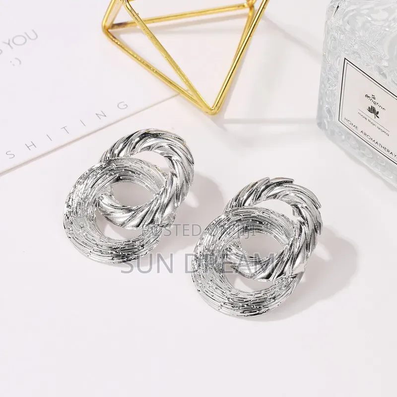 Sliver Toned Woman Gifts Earrings Accessories