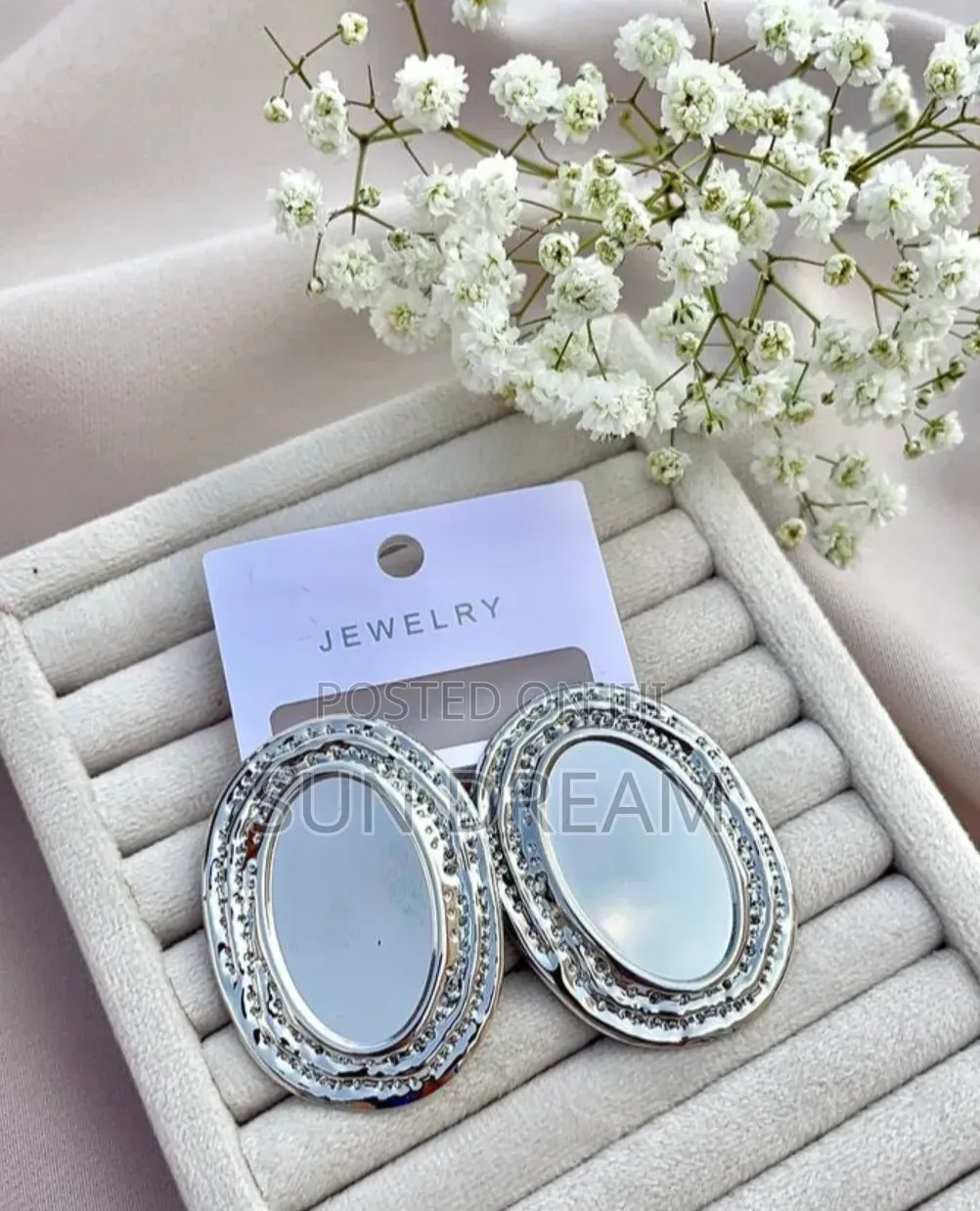 Oval Sliver Toned Woman Earrings Jewelrys