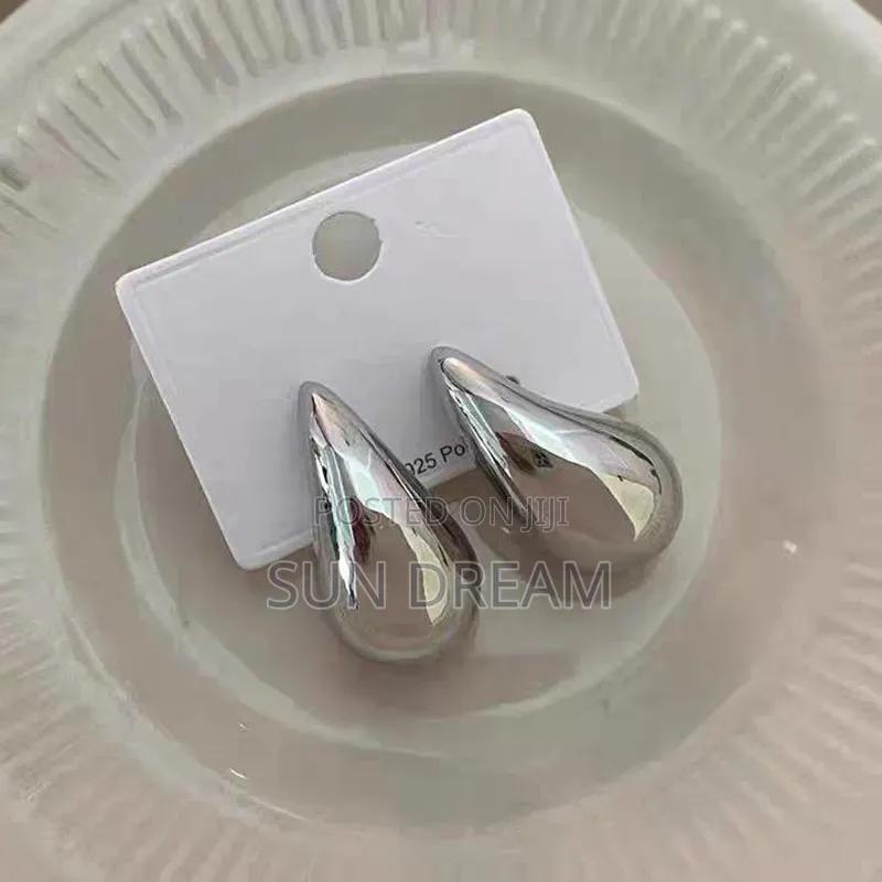 Stainless Steel Sliver Water Drop Ladies Earrings Women Jewelry