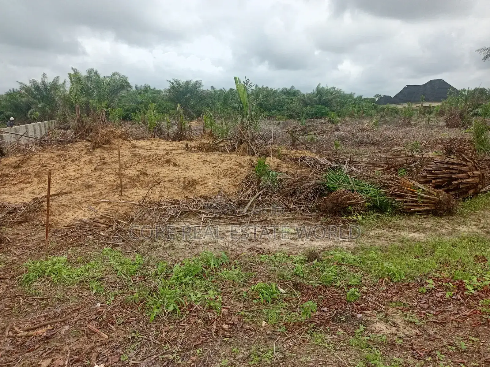 Pre-Launch Land for Sale, Lagos Calabar Coastal Road Lagos