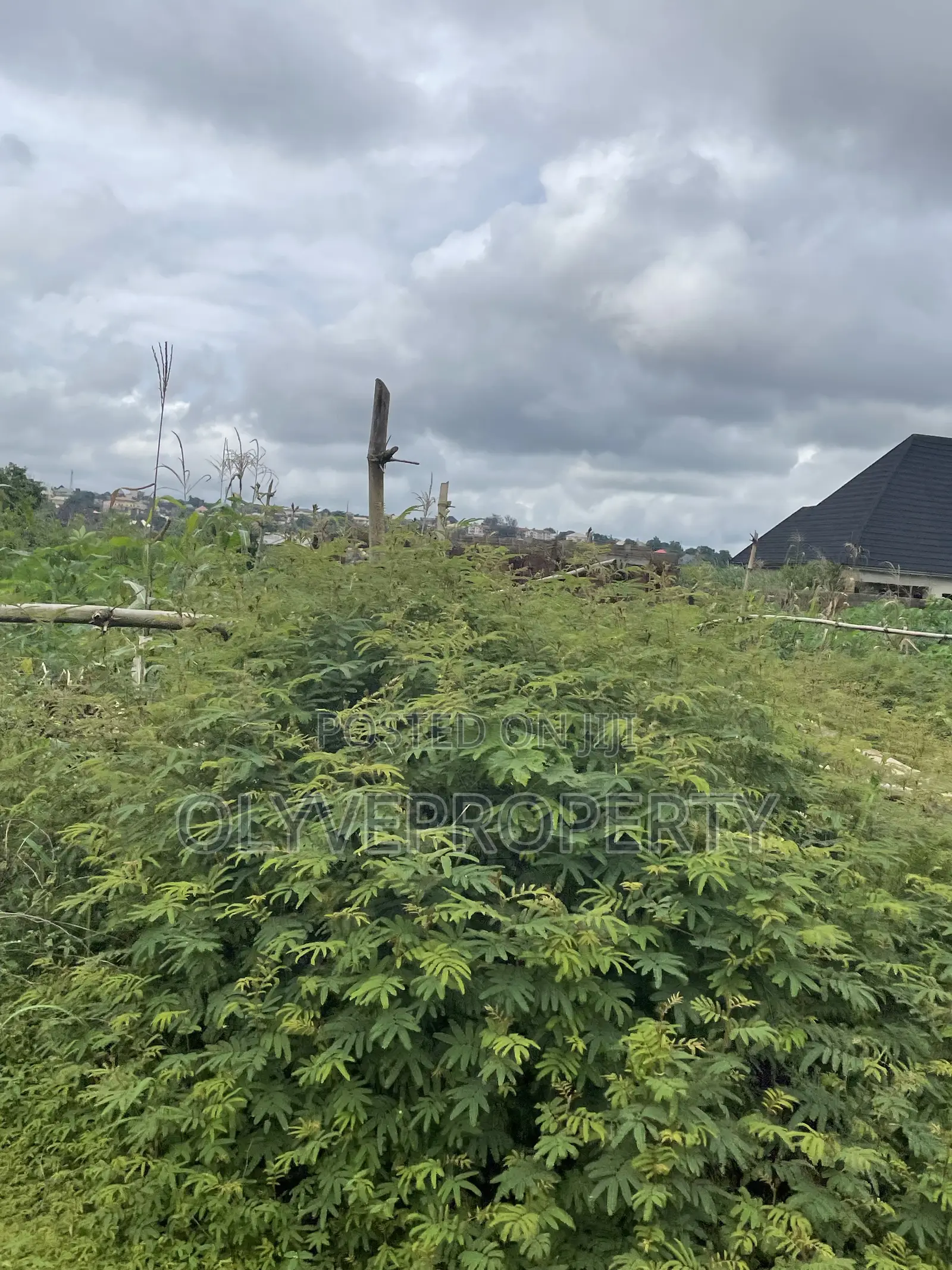 Buy and Build Plots of Land for Sale at IBUZO for Sale