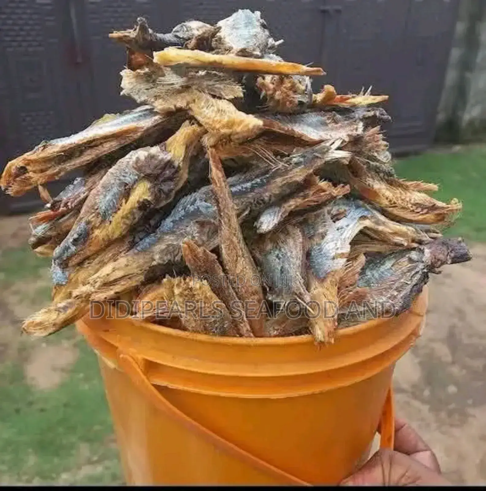 Freshness Overload Fresh Bonga Fillets