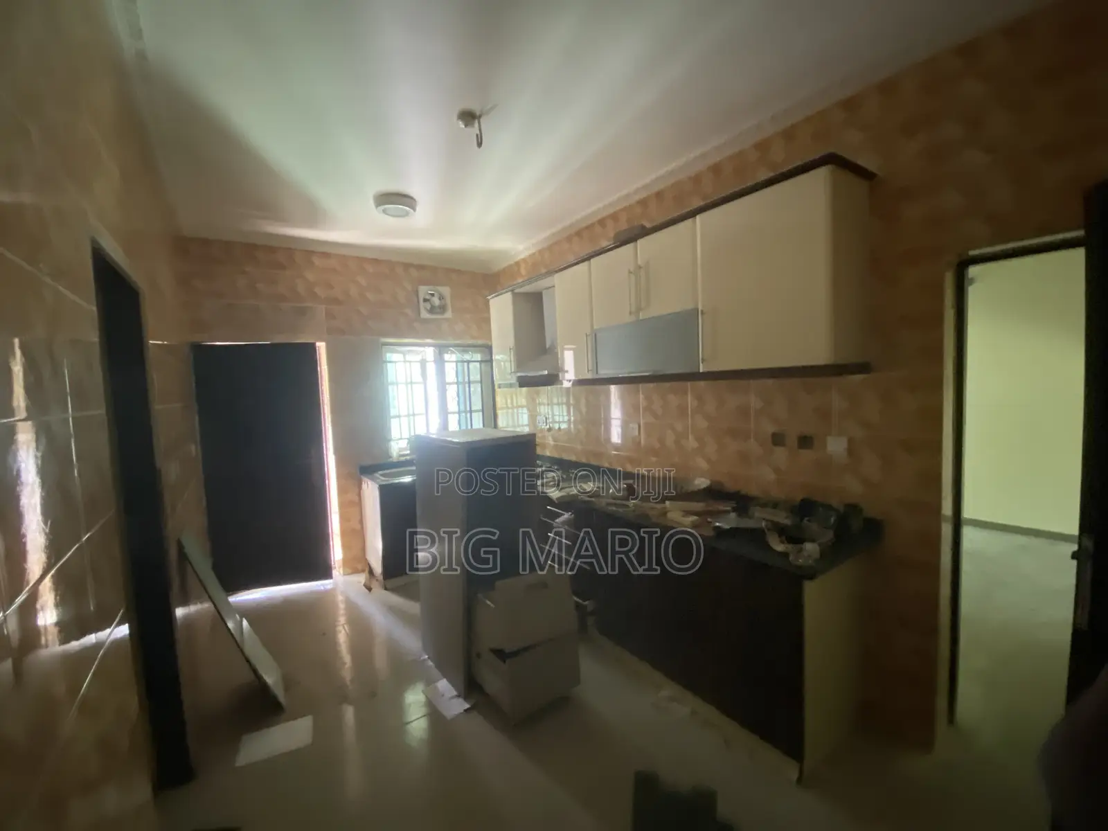 4bdrm Duplex in Asokoro for rent