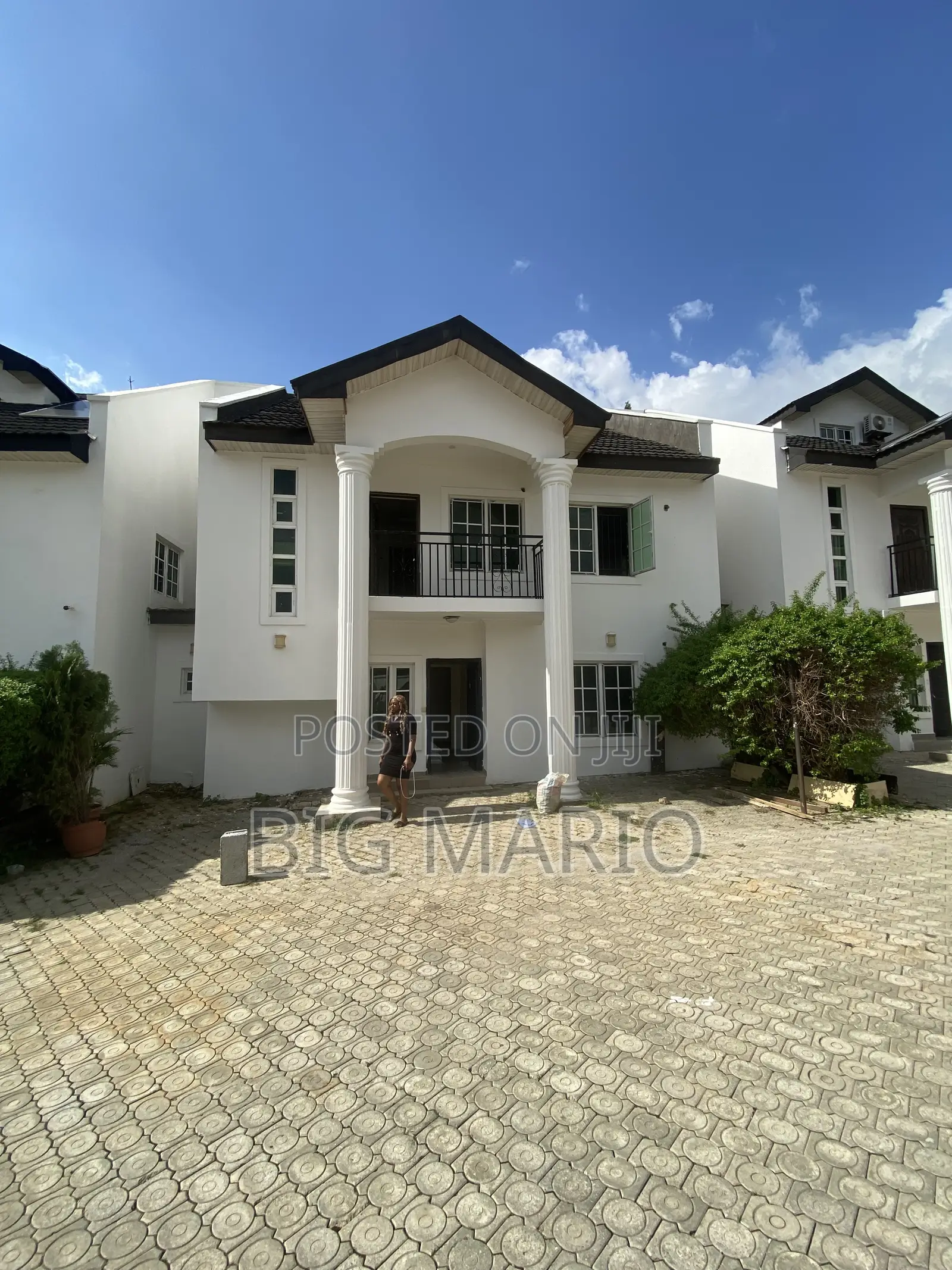 4bdrm Duplex in Asokoro for rent