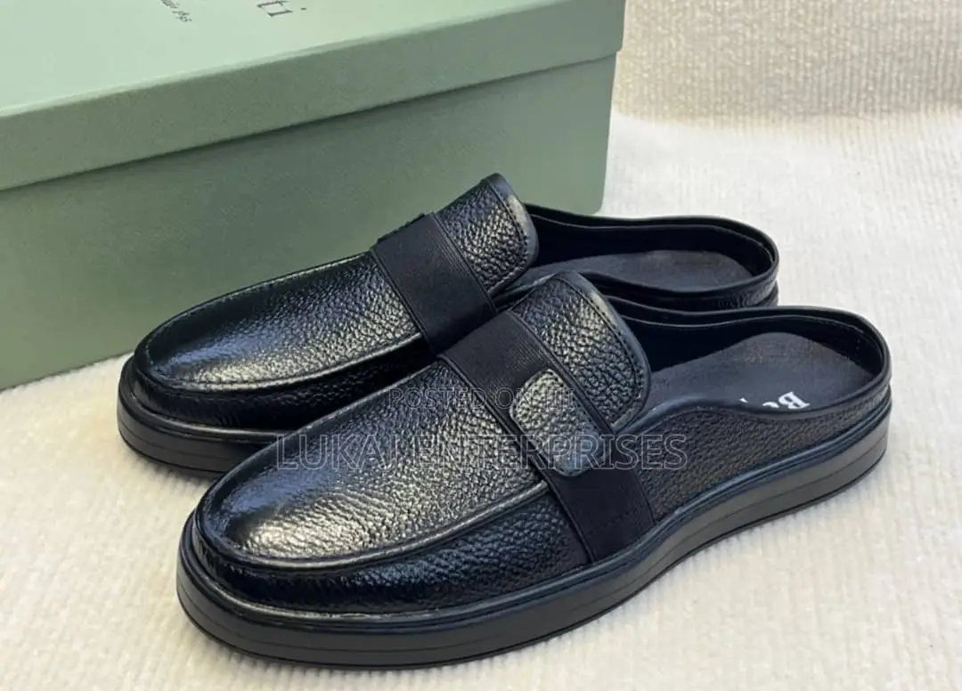 Berluti Luxury Shoe