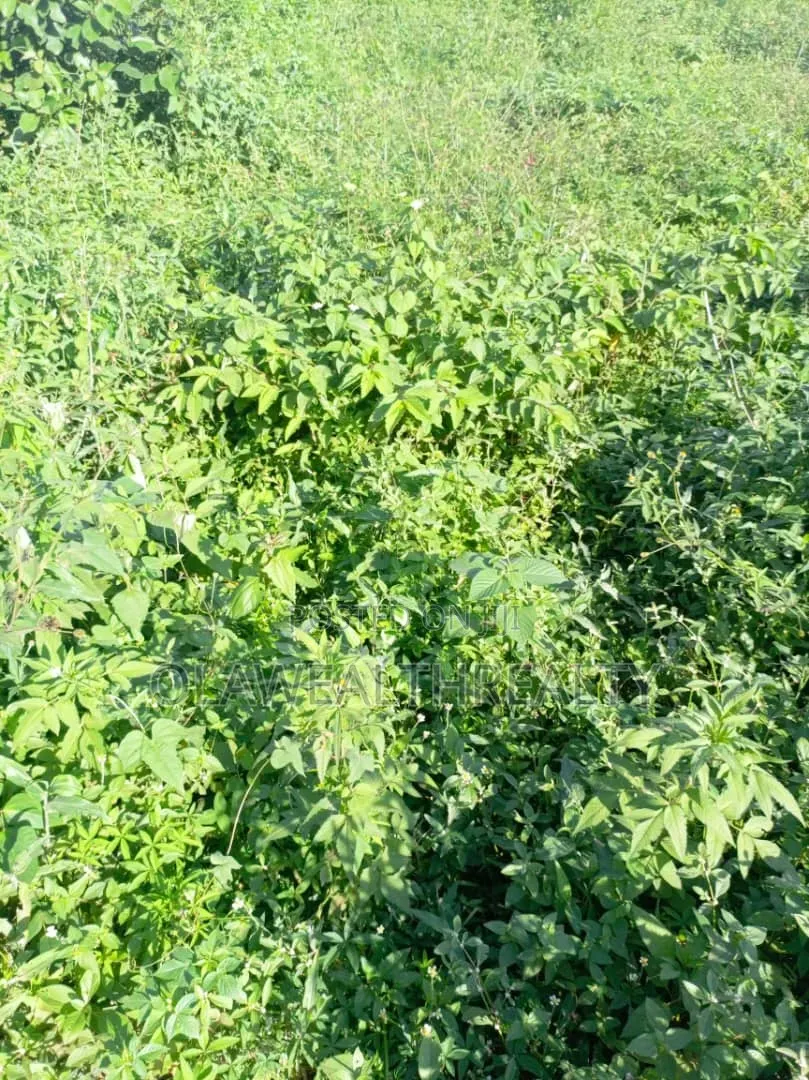 9,270sqm Commercial Land at Wuye