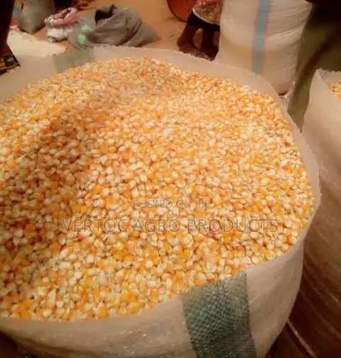 Fresh Yellow Corn (100Kg Bag for NGN 49,000) YELLOW