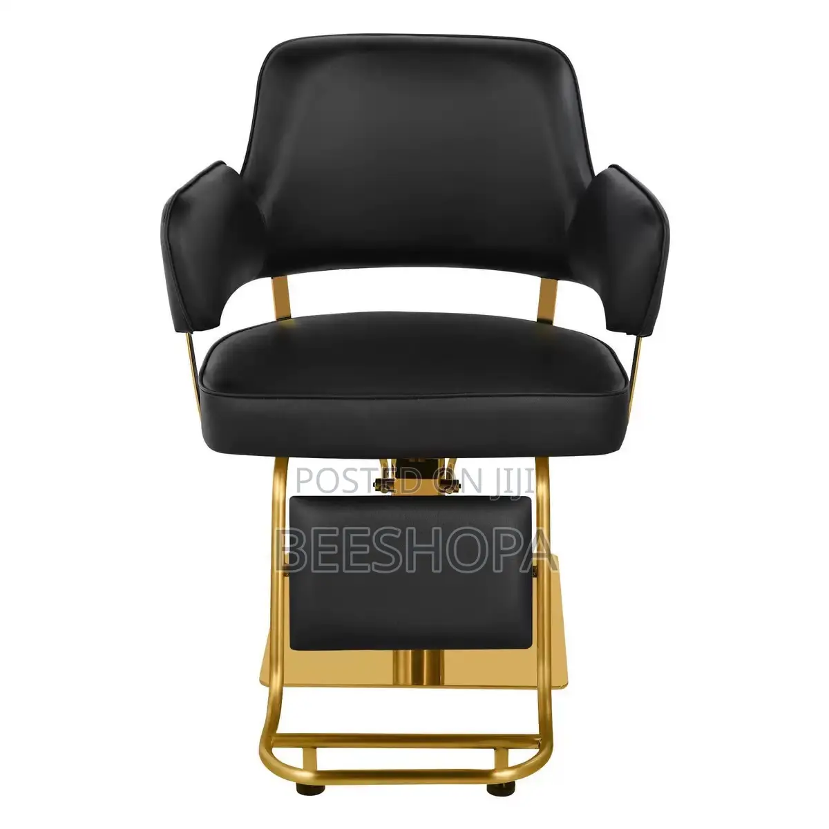 Salon Chair/ Spa Chair