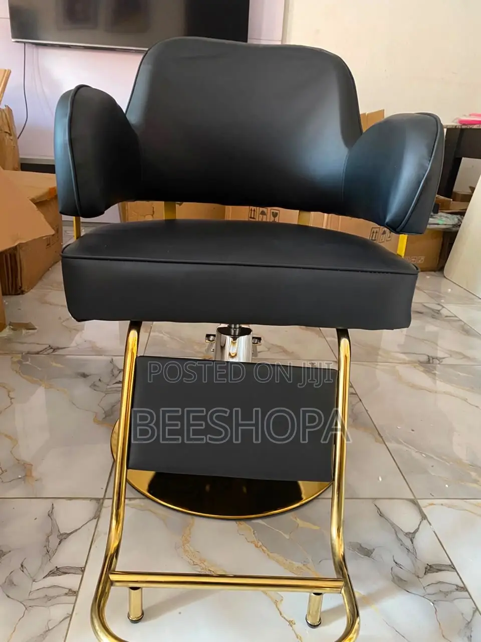 Salon Chair/ Spa Chair