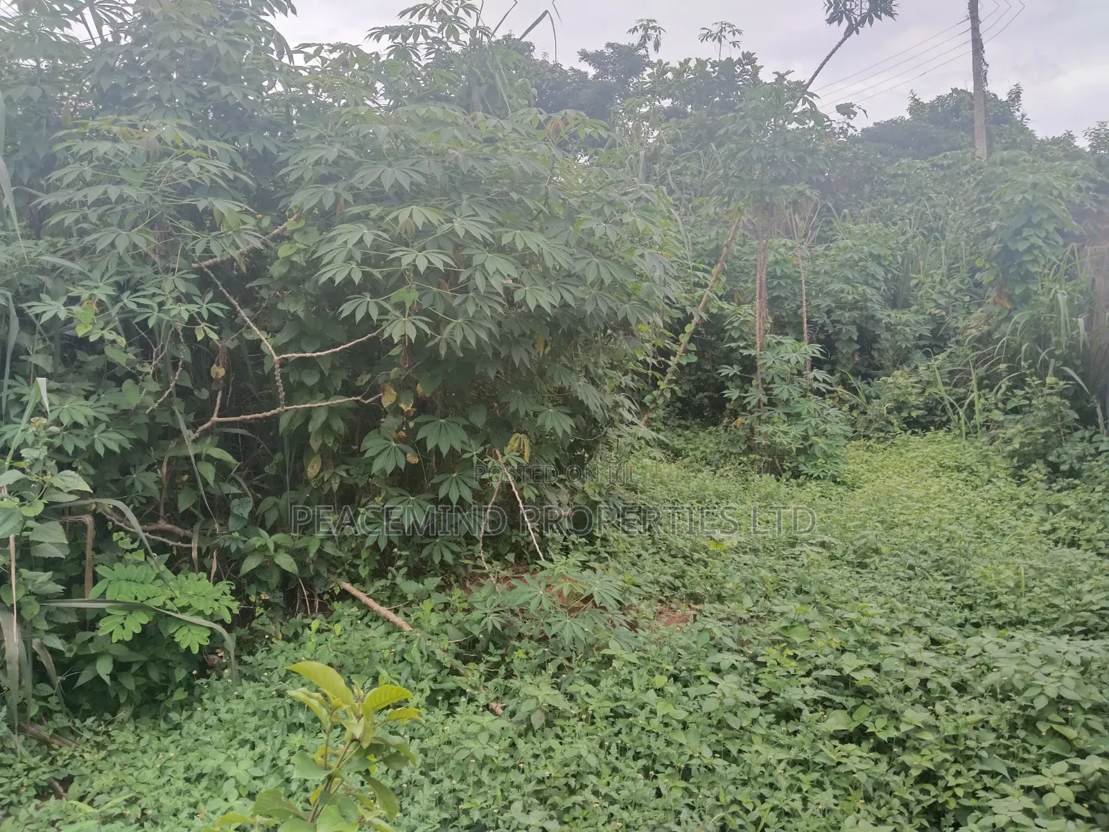 PLOT of Land in Emerald Estate Shimawa by RCCG New AUDITORIUM #13m