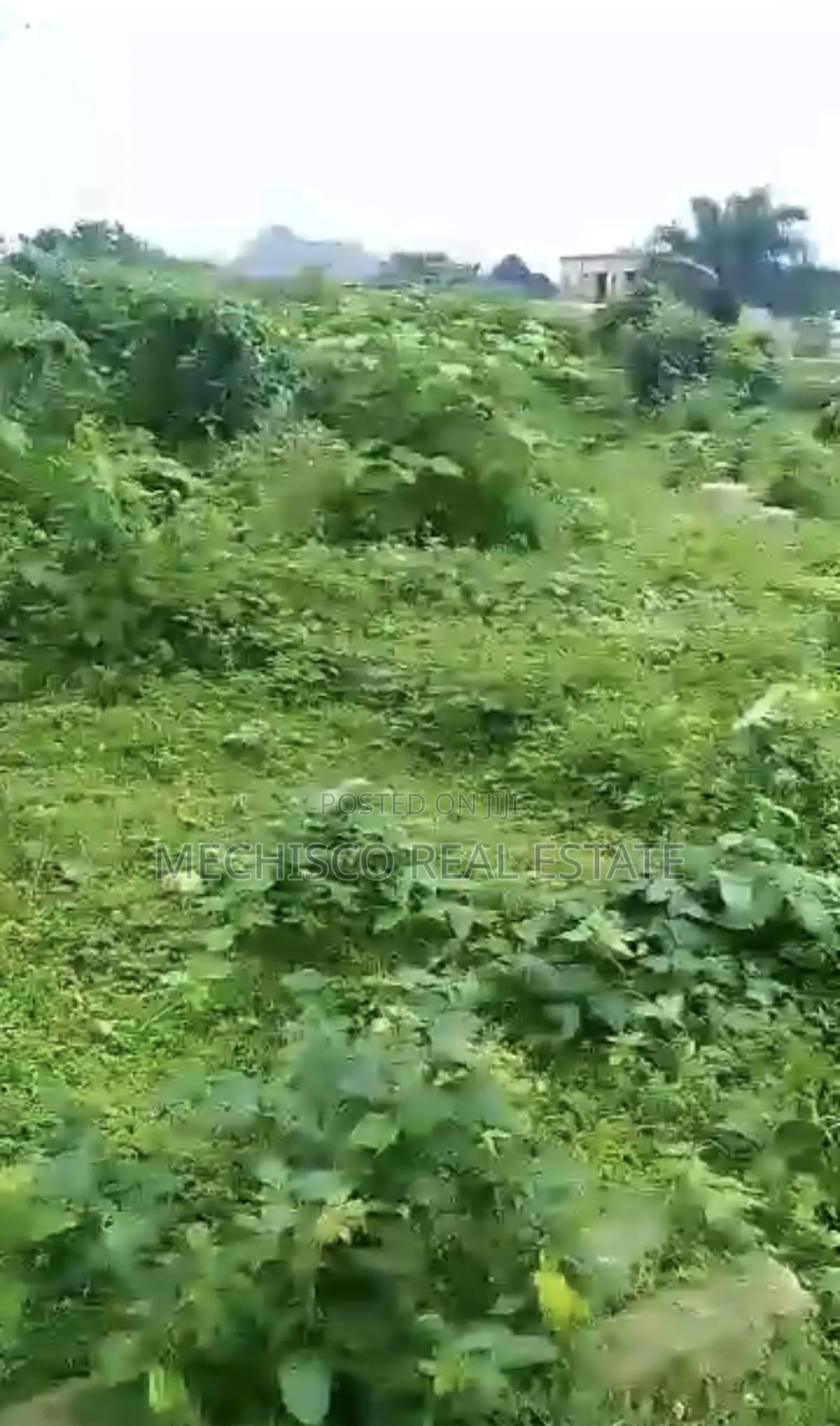 3plots of Land for Sale at Odani Green City Estate Akpajo