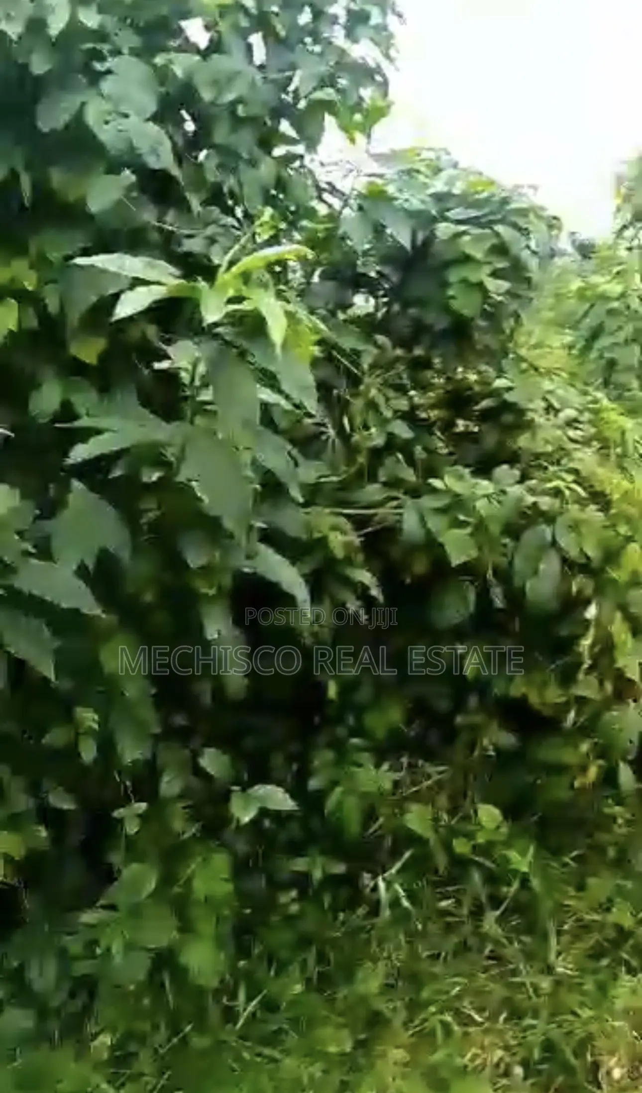 3plots of Land for Sale at Odani Green City Estate Akpajo