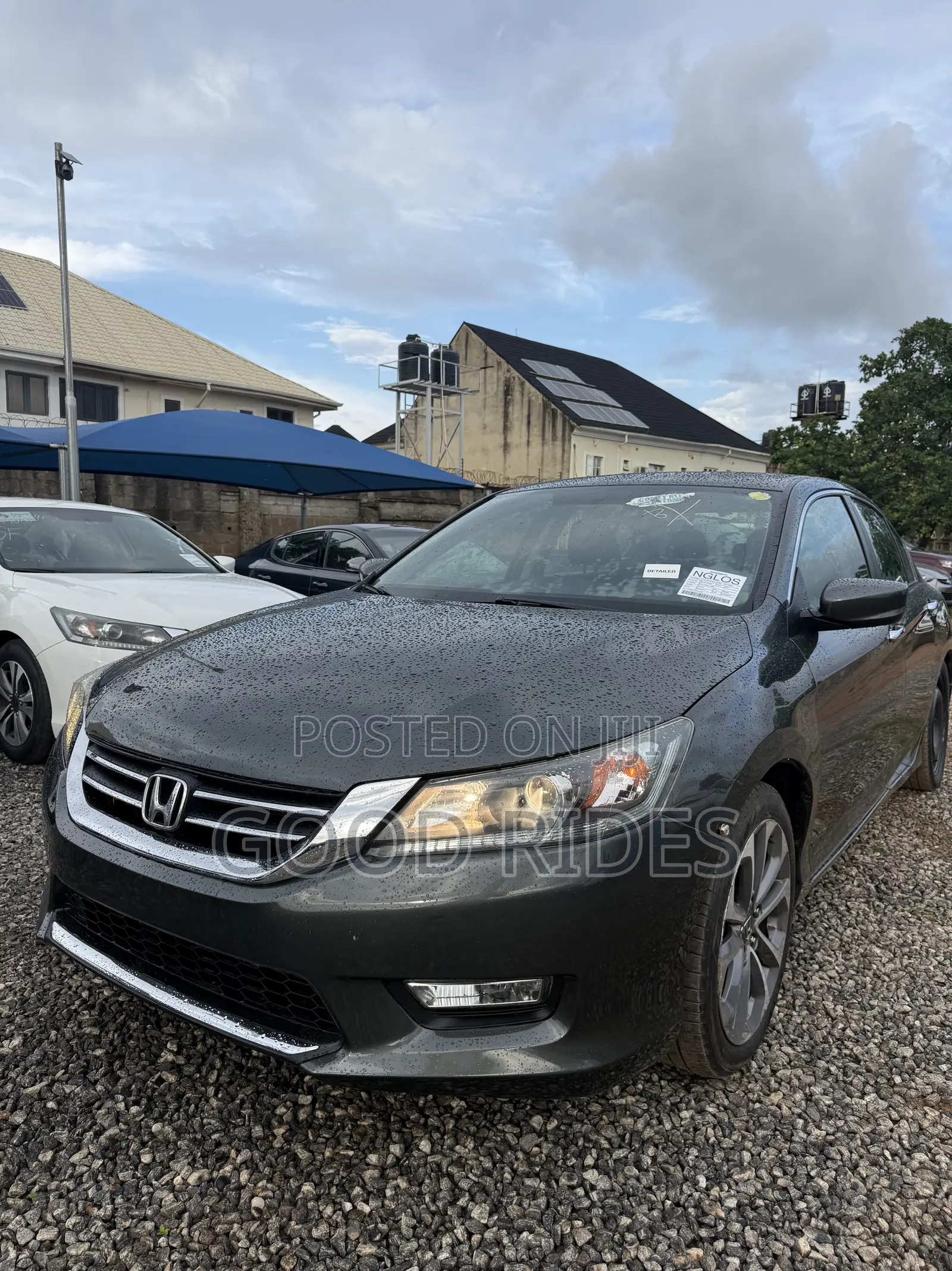 Honda Accord Sport 4dr Sedan (2.4L 4cyl 6M) 2014 Green