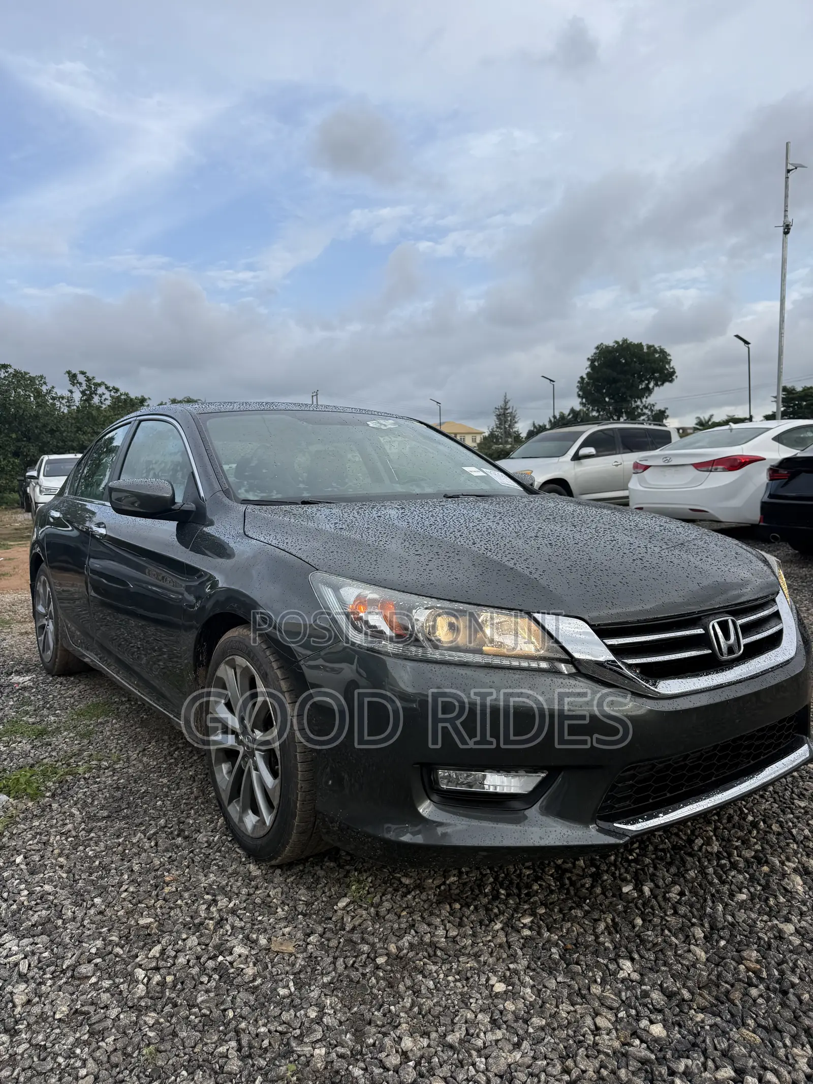 Honda Accord Sport 4dr Sedan (2.4L 4cyl 6M) 2014 Green