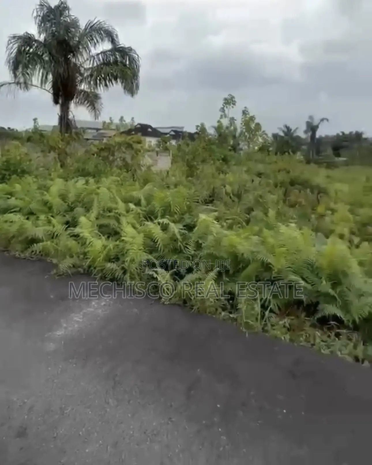 2plots of Land Available for Sale in Presidential Estate, Mummy B Road