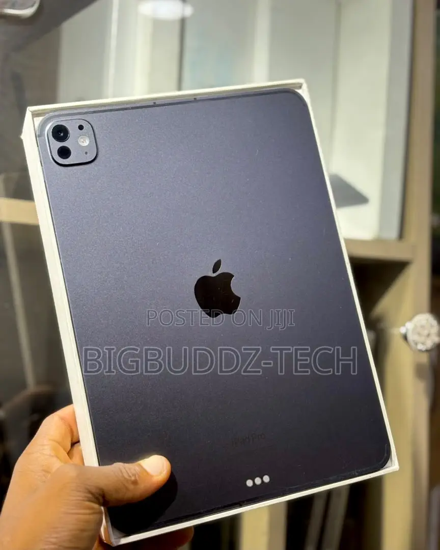 Apple iPad Air (2022) 256 GB Gray