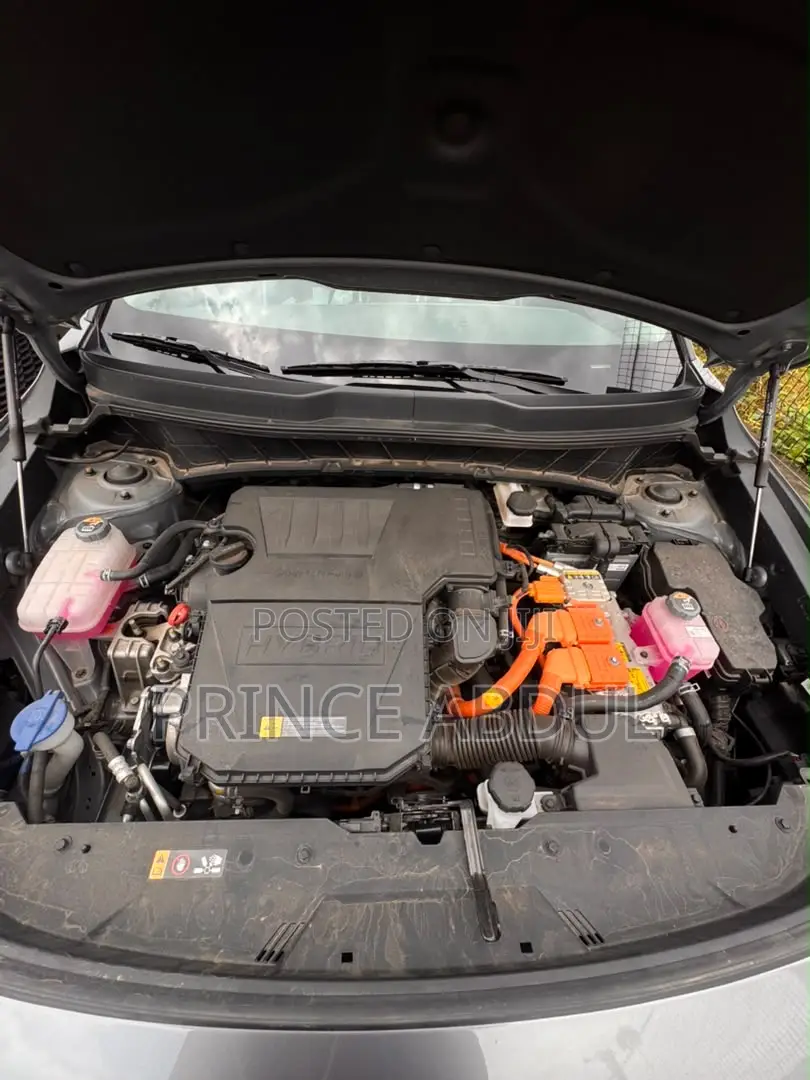 New Kia Niro 2025 Beige