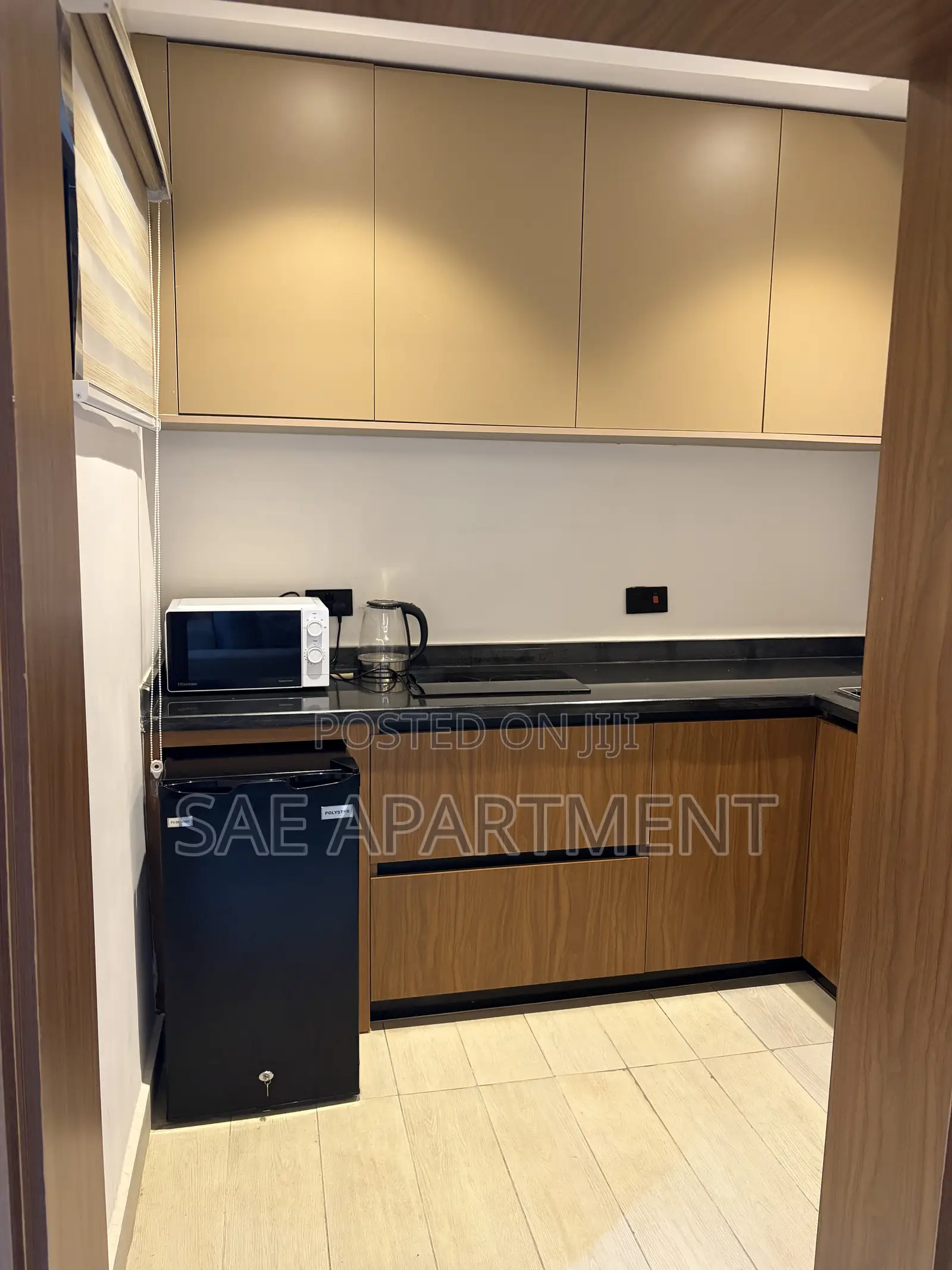 Modern Two Bedroom Apartment, Asokoro Abuja