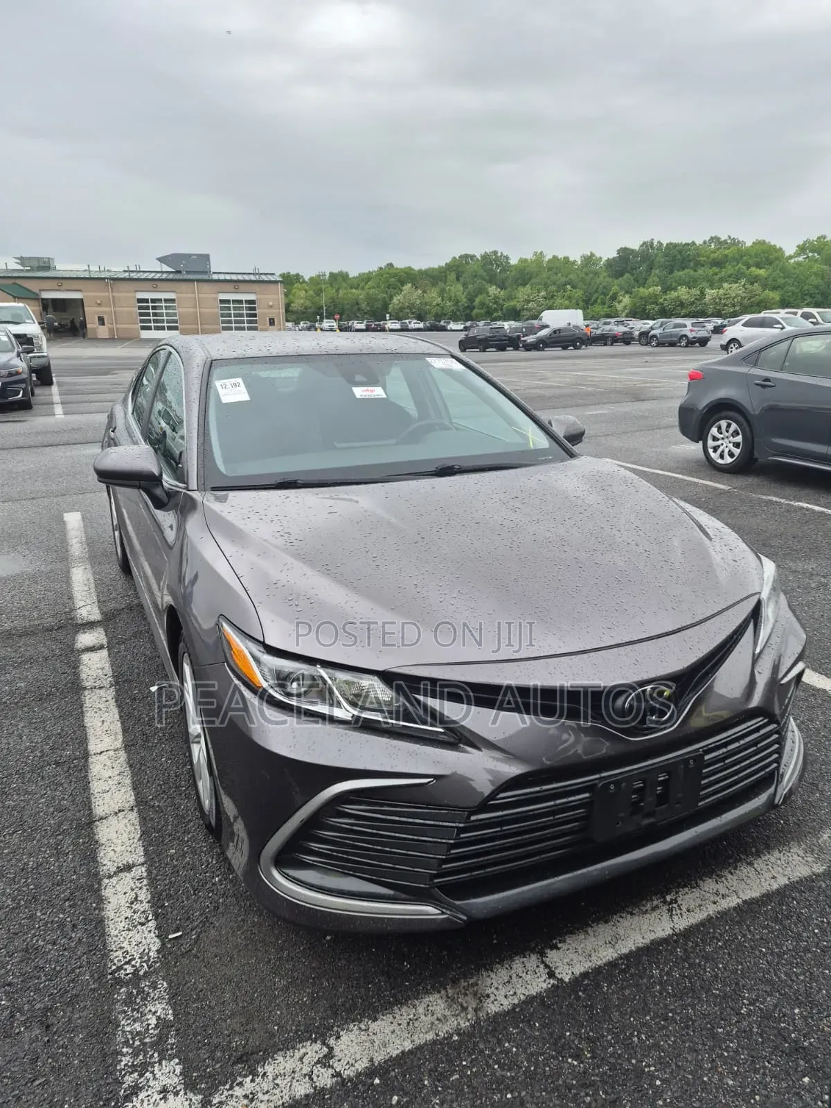 Toyota Camry LE 2021 Brown