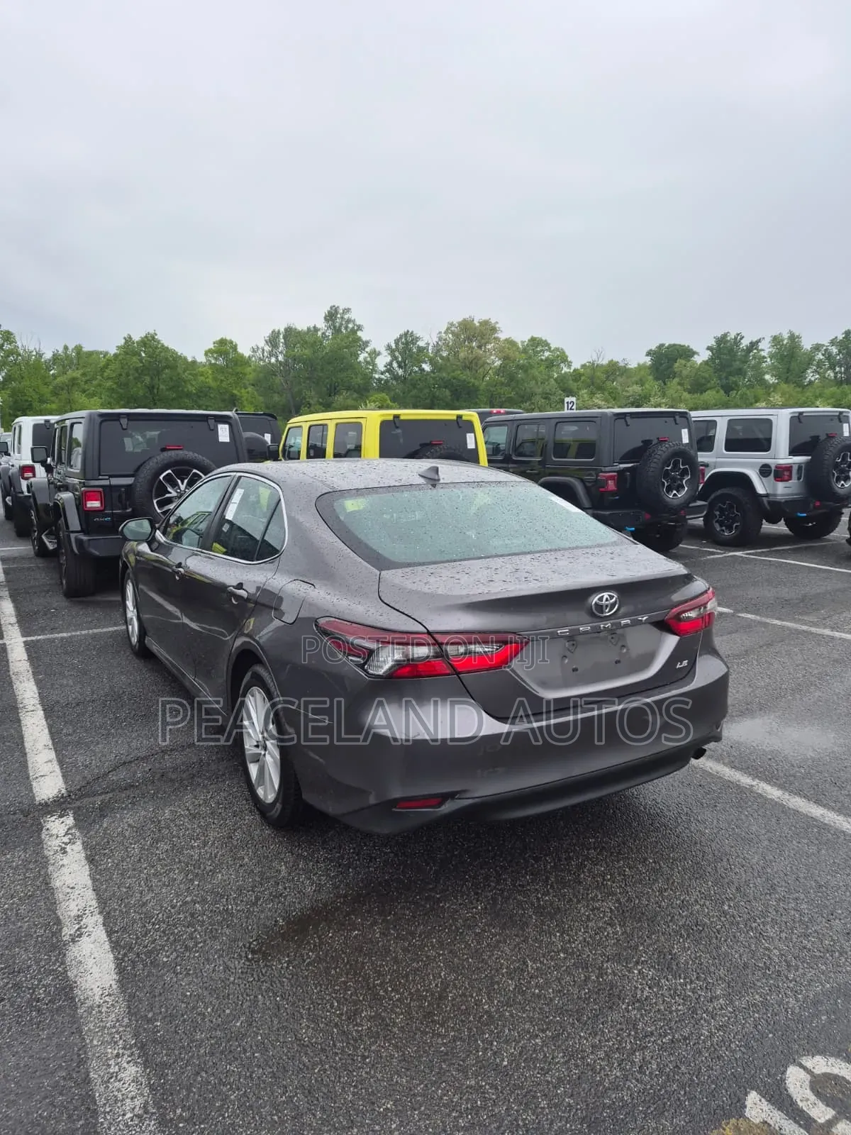 Toyota Camry LE 2021 Brown