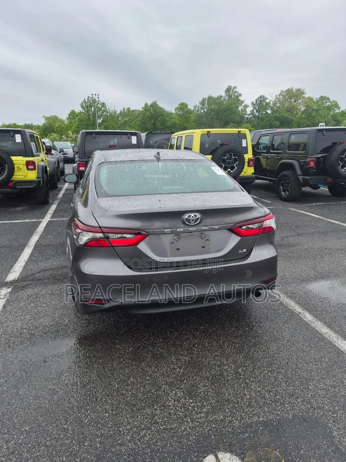 Toyota Camry LE 2021 Brown