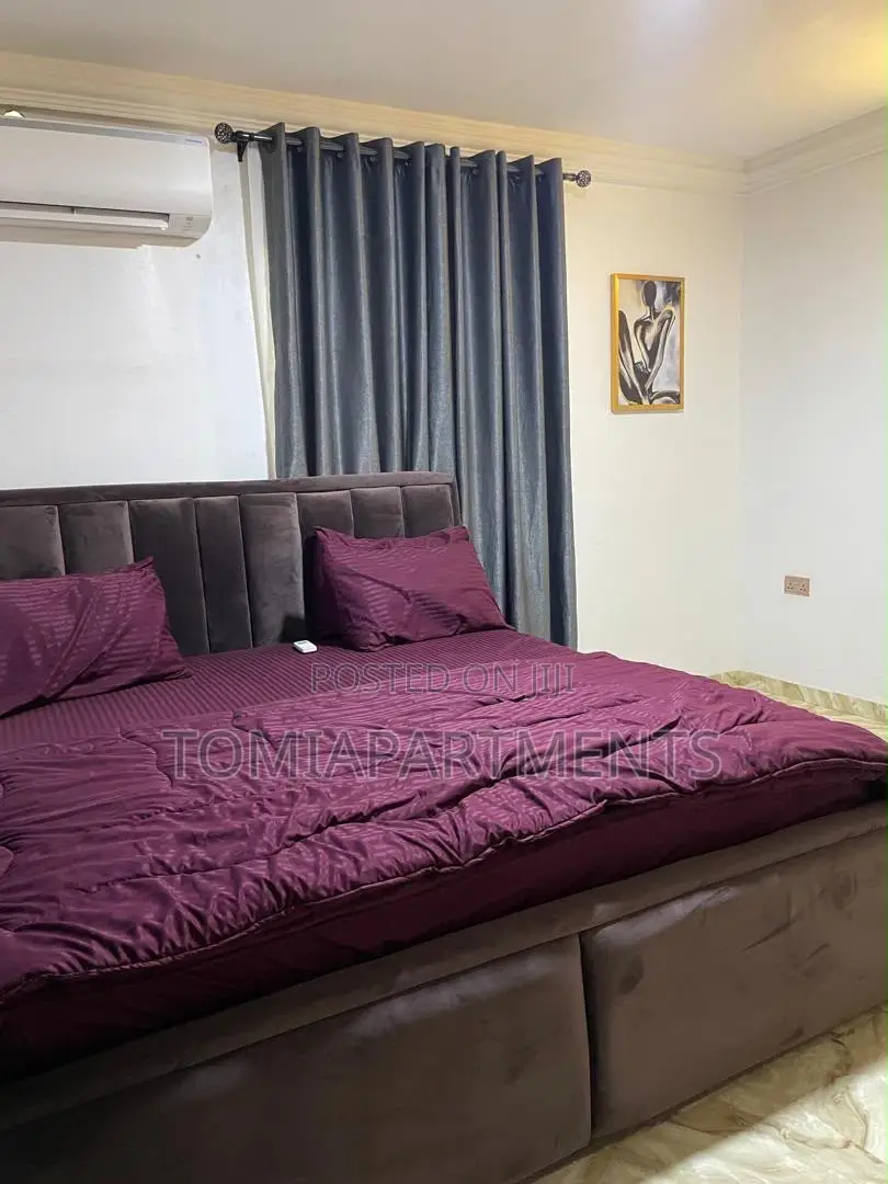 One Bedroom Mini Flat Shortlet Apartment in Akoka, Yaba