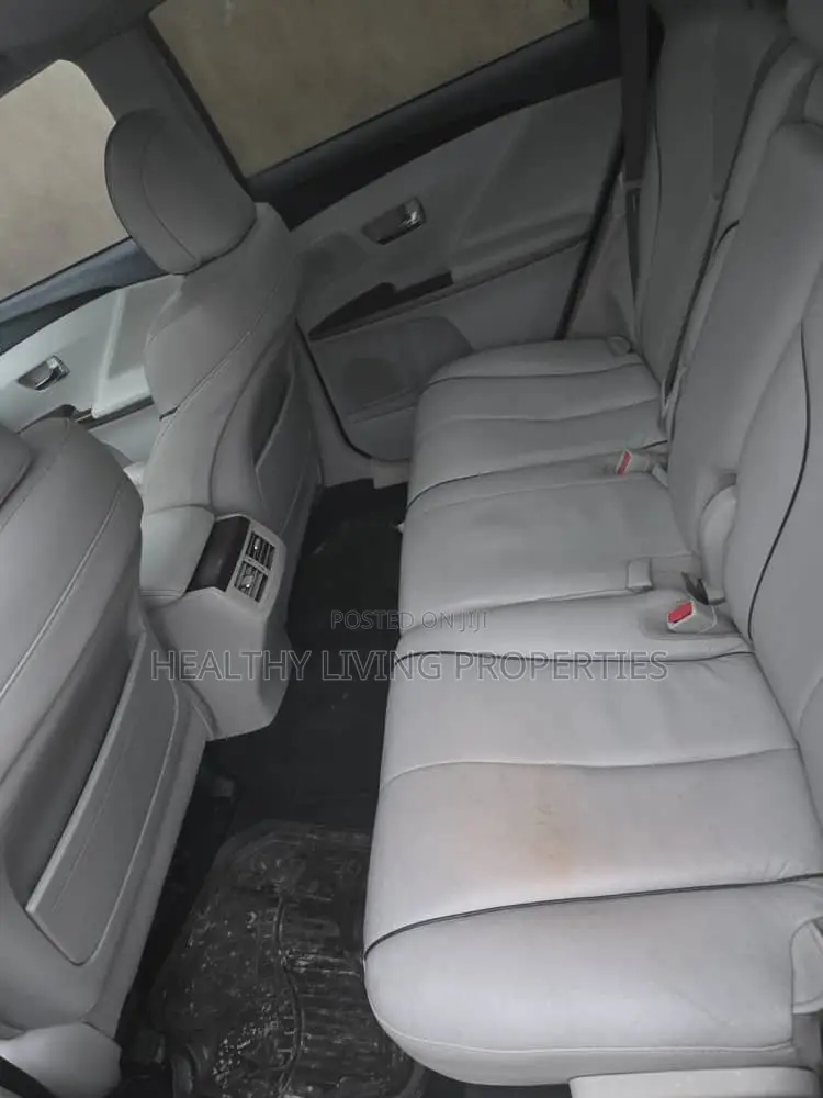Toyota Venza 2010 Gray
