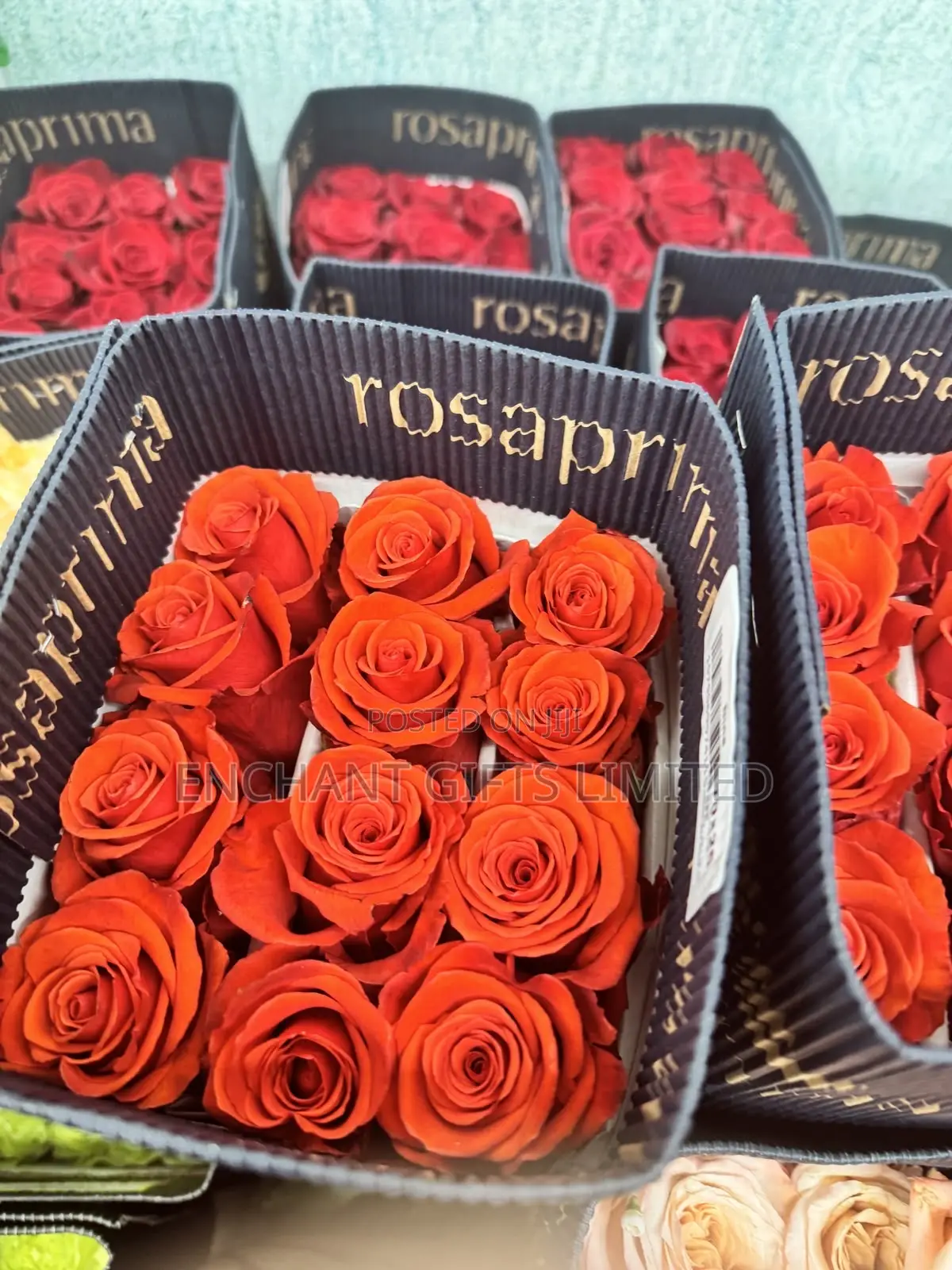 100 Fresh Roses Stems - Bulk Wholesale Vendor in Abuja