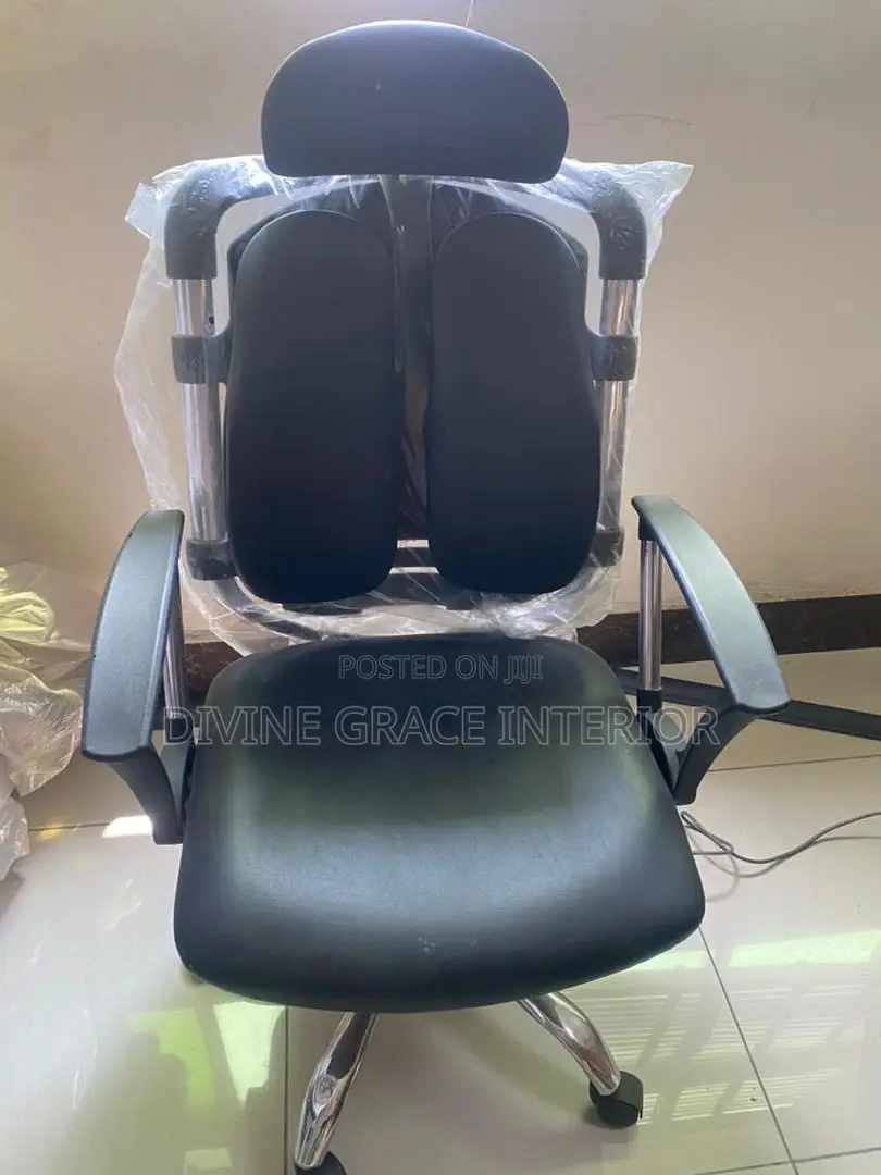 Kidney Executive Ergonomic Chair