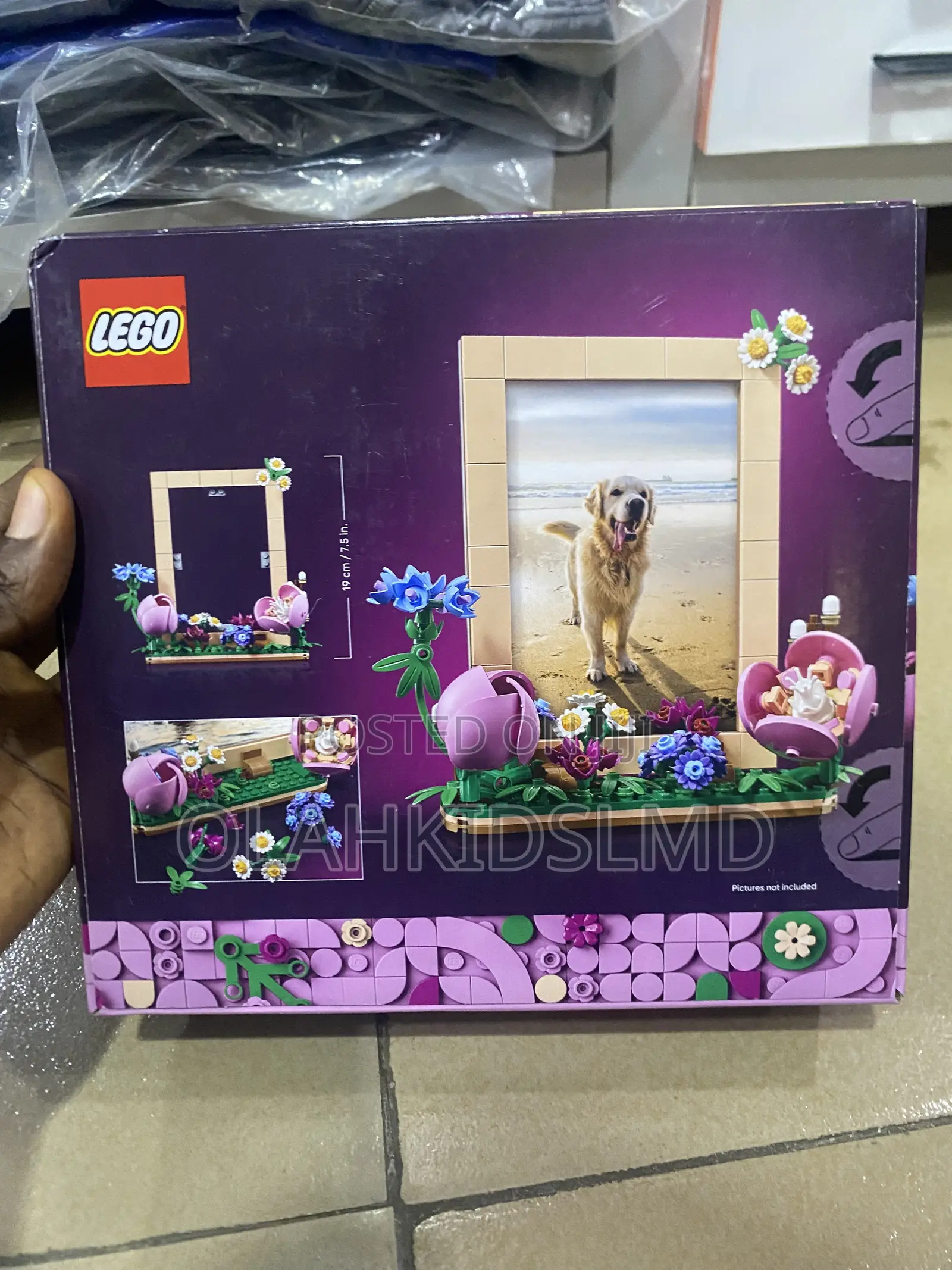 LEGO Botanicals Floral Picture Frame 40916 Décor 9+