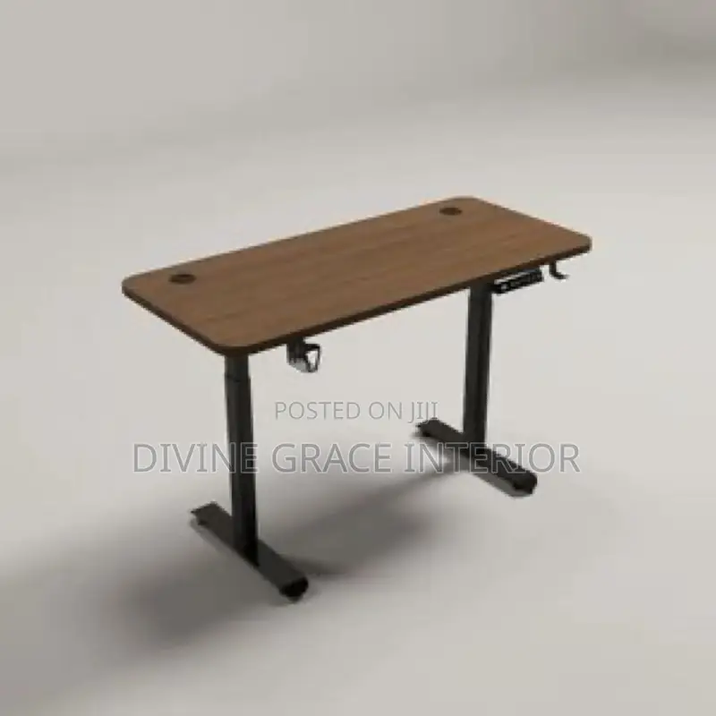 Premium Sit-Stand Table