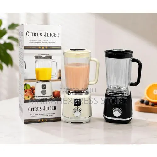Rechargeable Fruit/Vegetables Blender