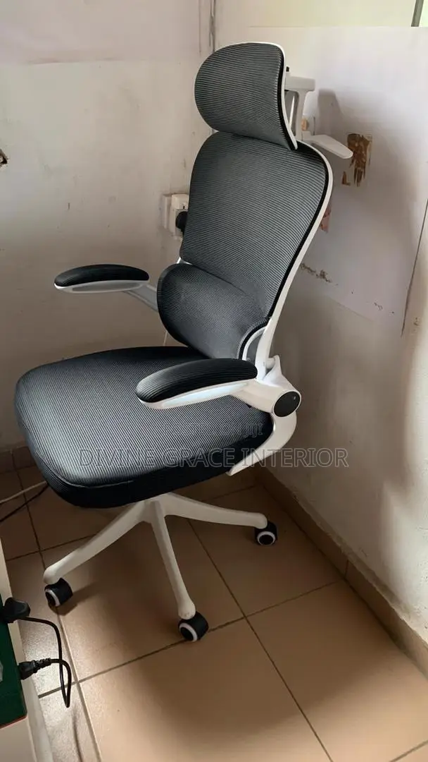 Brand New Ergonomic Office Chai