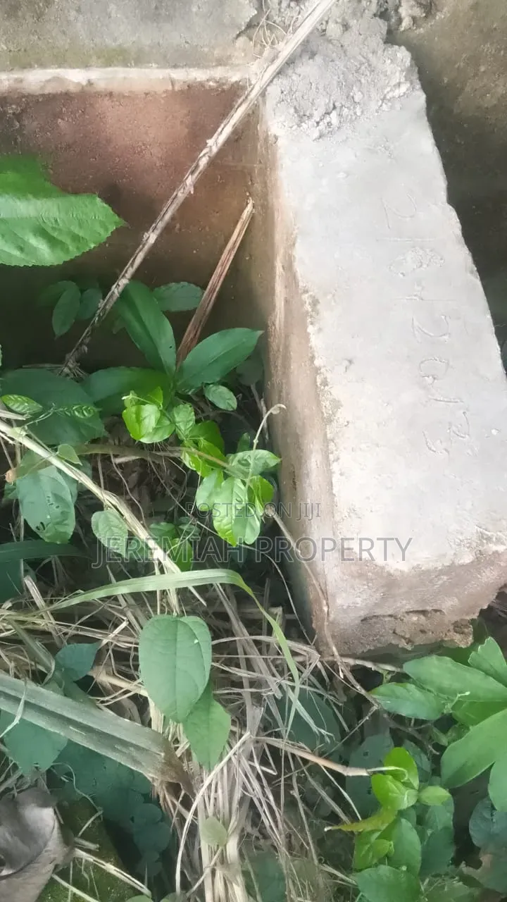 Land for Sale Ikorudu