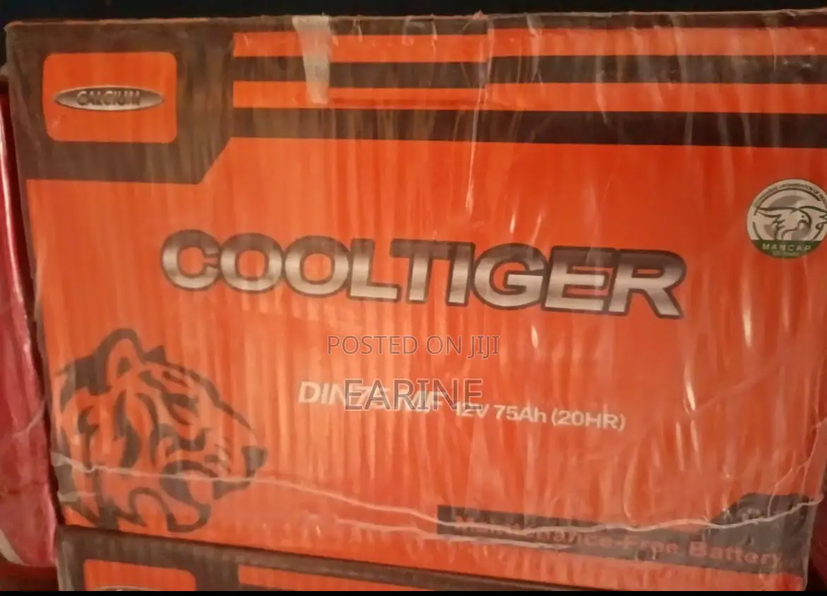 Orginal Car Battery