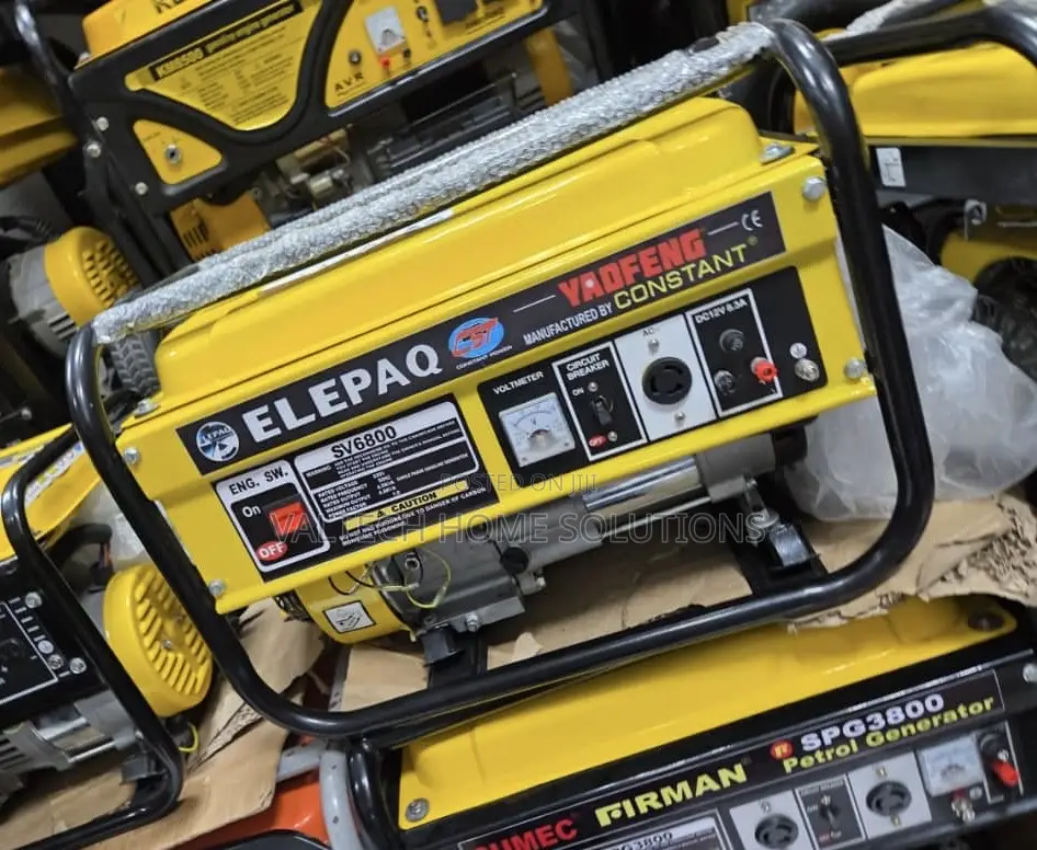 4. 5KVA Elepaq Manual Start Petrol Generator
