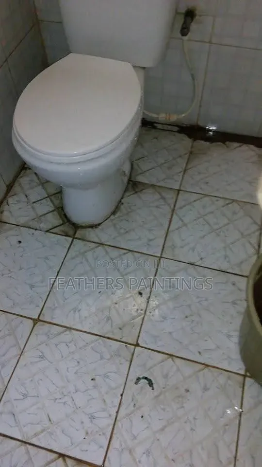 Professional Home Cleaning Services