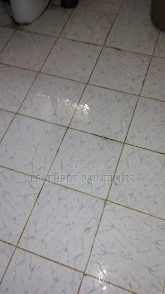 Professional Home Cleaning Services