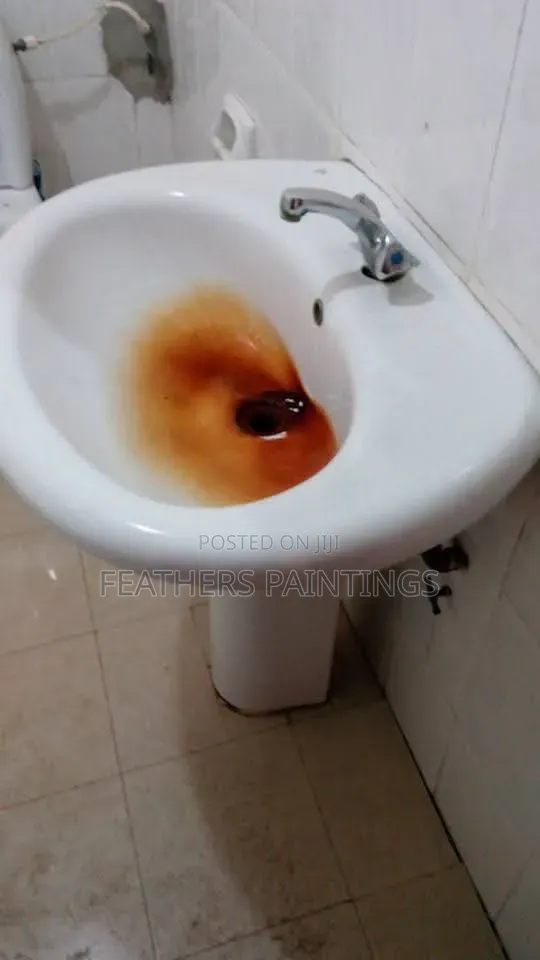 Clean Home and Offices Professional