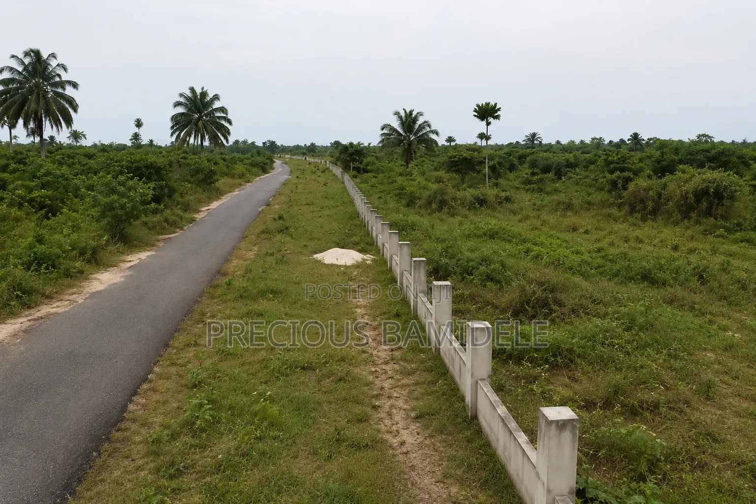Farm Land for Sale Lease at Odagwa, Rivers State