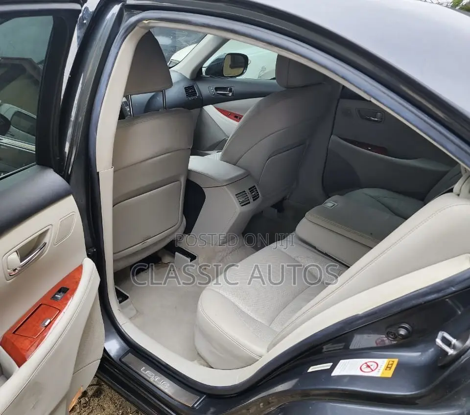 Lexus ES 350 2010 Gray