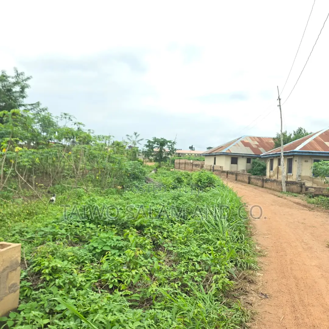 1 Acre of Land