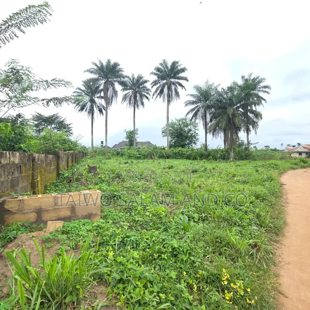 1 Acre of Land
