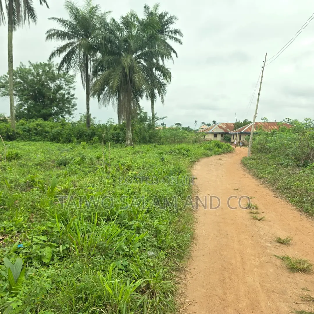 1 Acre of Land