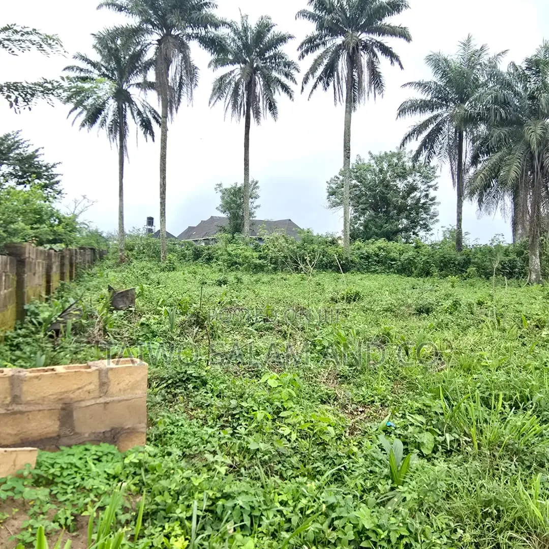1 Acre of Land