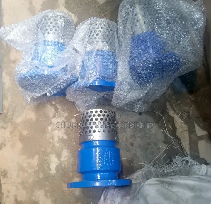 Cast Iron Foot Valve