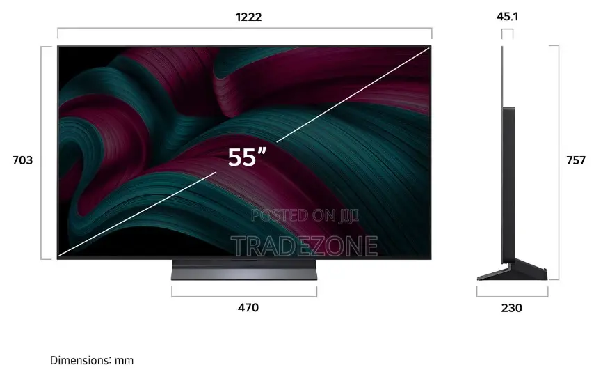 LG 55 Inch OLED Evo Smart TV With AI Magic Remote | 55C56