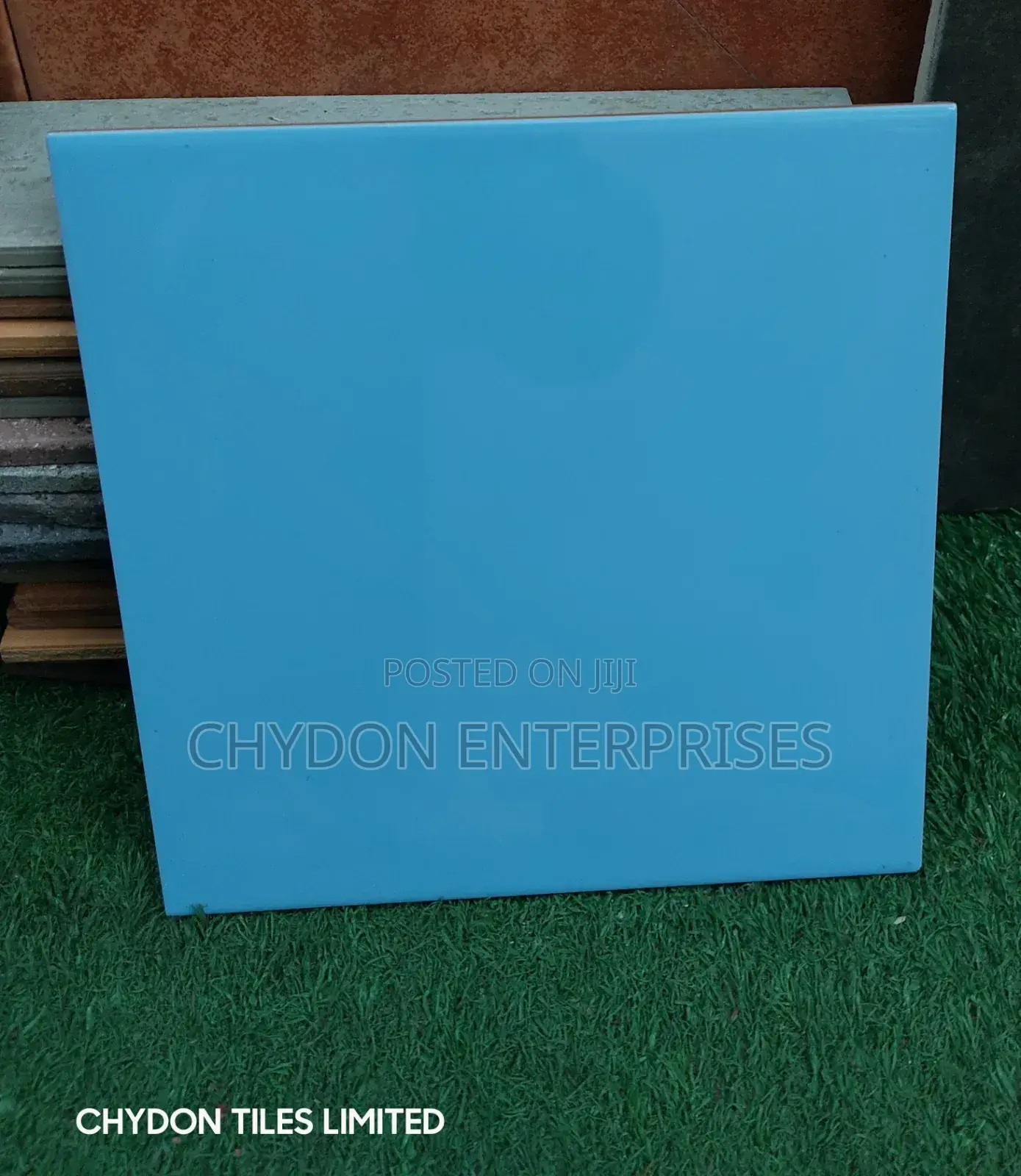 Swimming Pool Tiles Imported